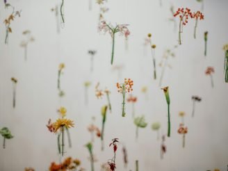 bady-abbas-uZoR8U2hyiw-unsplash